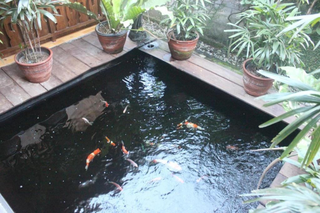 จอกโล อาเยม เตนเตรม Hotel ปรัมบานัน ภายนอก รูปภาพ